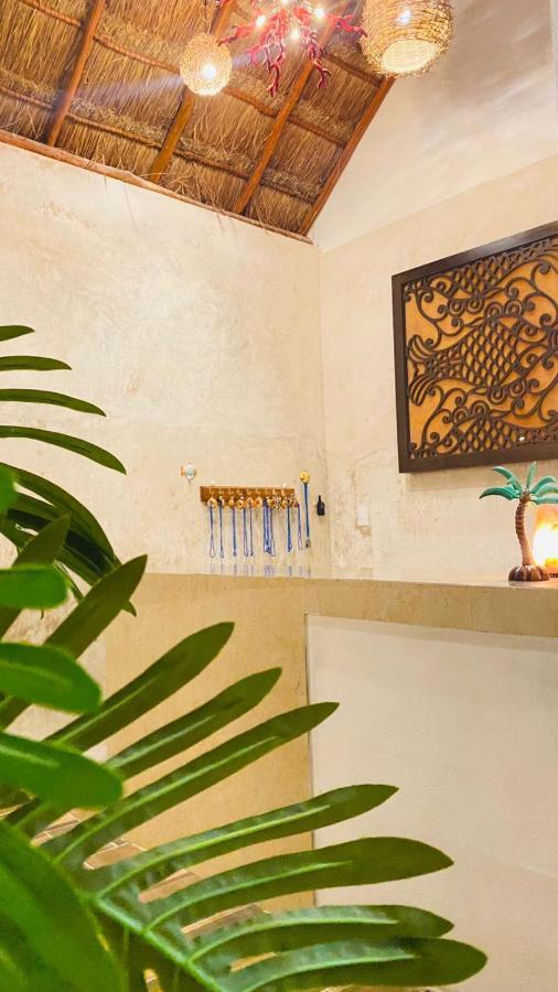 Casa Delfines Rio Lagartos 호텔 외부 사진